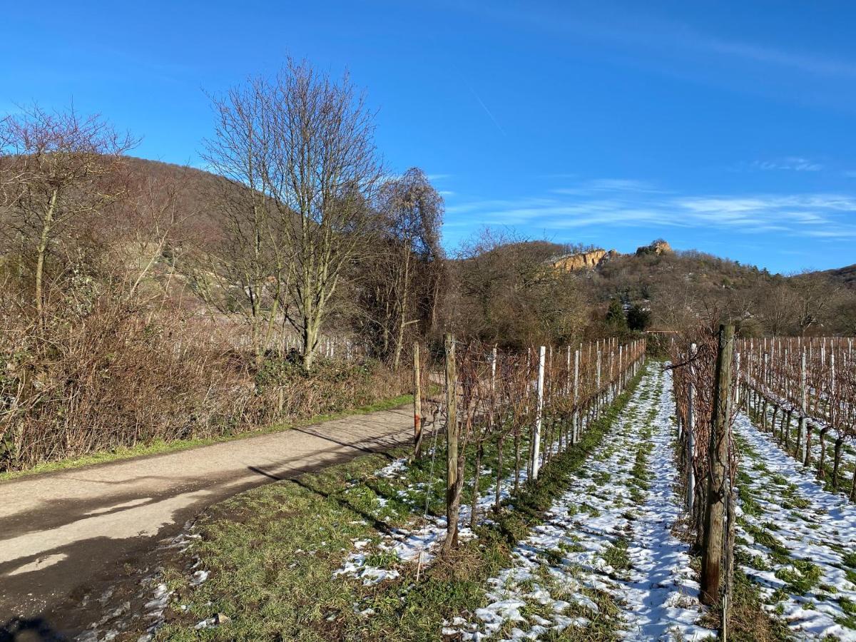 Appartamento Pantone Ultra Dossenheim Esterno foto